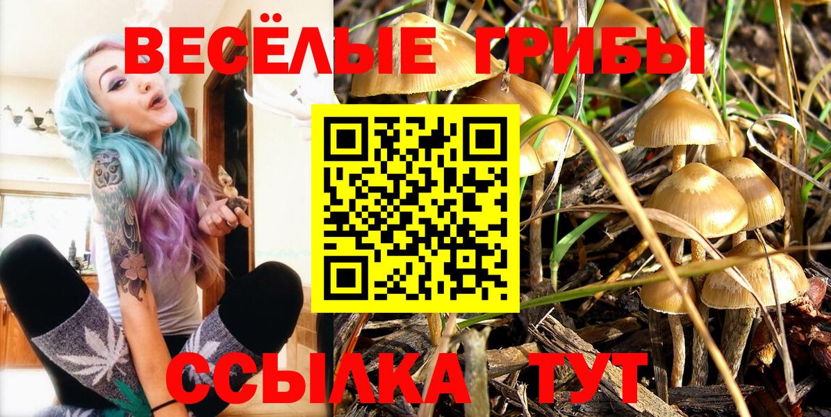 Псилоцибиновые грибы Cubensis Муром